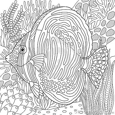 Sailfin tang fish adult coloring book page Vector Illustration